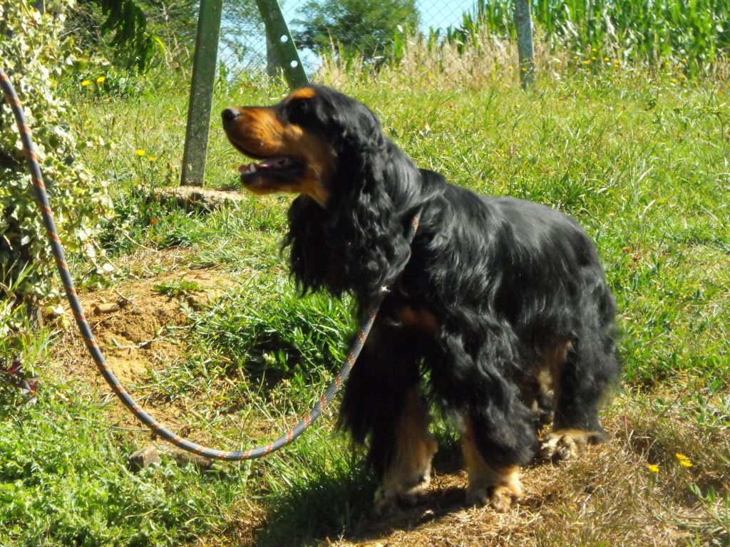 Peps des bois de la bro