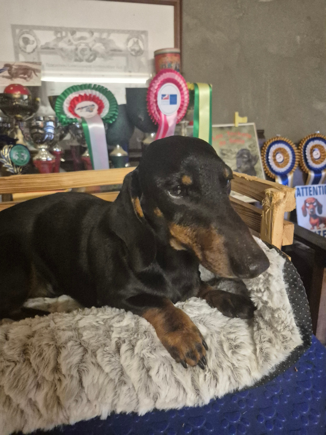 UPIO du Mistral Le Vent